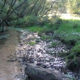 0409F 05 Emsursprung